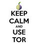 services:keep_calm_and_use_tor.428x500.png
